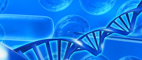 Gemelli grazie alla DGP