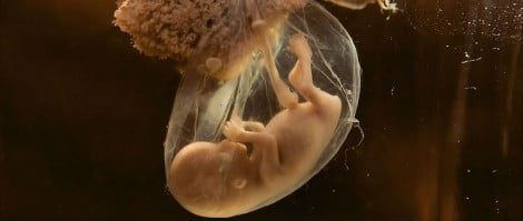 Farmaci e gravidanza