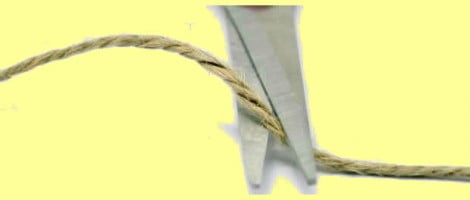 Vasectomia e paternità