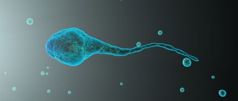 I problemi d'infertilità maschile trovano rimedio nelle tecniche di agopuntura