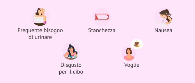 Imagen: Altri sintomi tipici della gravidanza