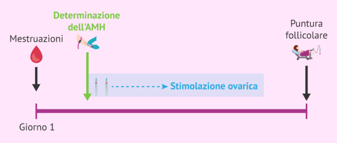 Imagen: Quando fare l'analisi dell'AMH?