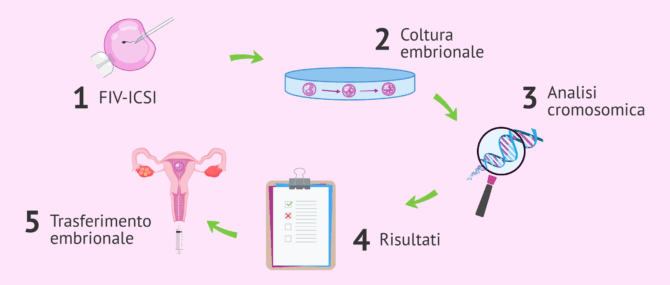 Imagen: Processo del test genetico preimpianto non invasivo o test Embrace