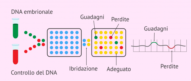Imagen: Analisi genetica con array CGH