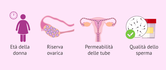 Imagen: Aspetti per la scelta del trattamento riproduttivo