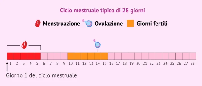 Imagen: Quali sono i giorni più fertili?