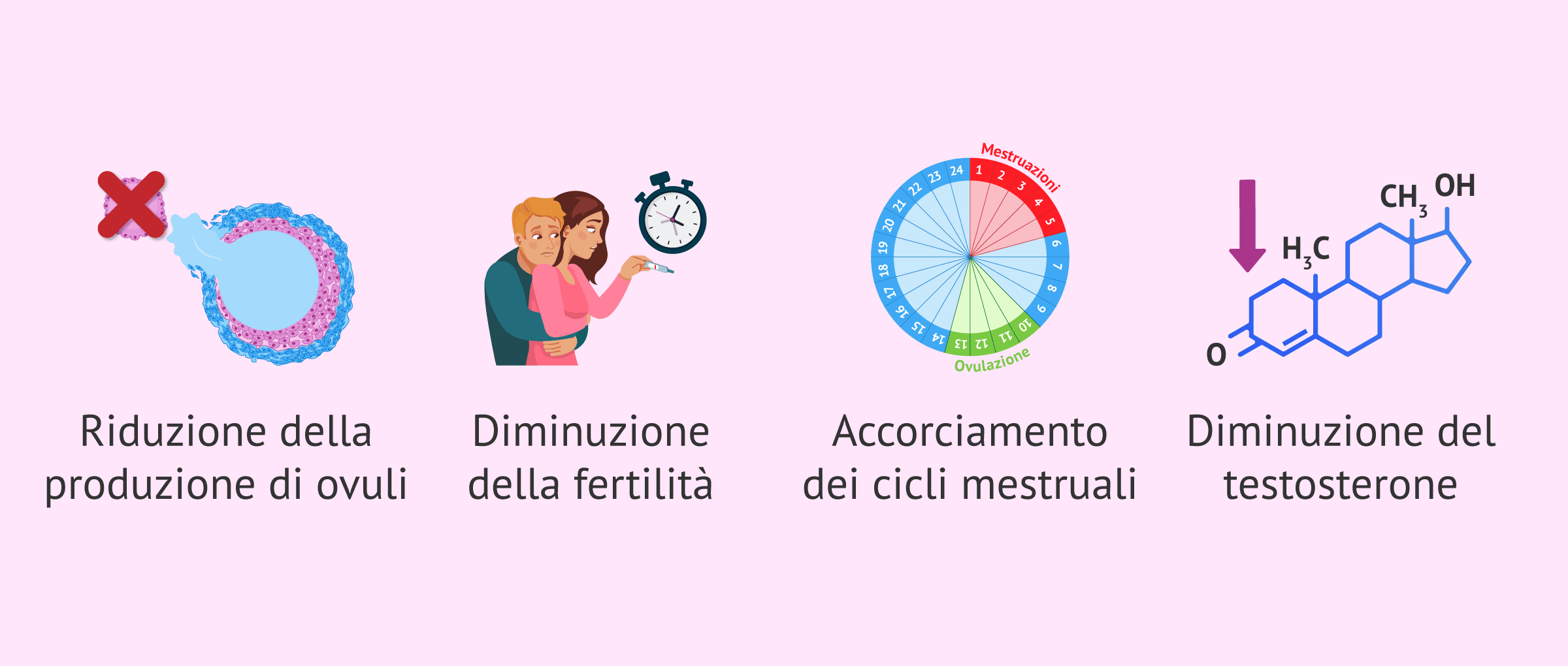 Imagen: Cambiamenti nell'organismo durante la perimenopausa