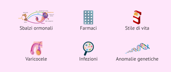 Imagen: Possibili cause di oligoastenoteratozoospermia