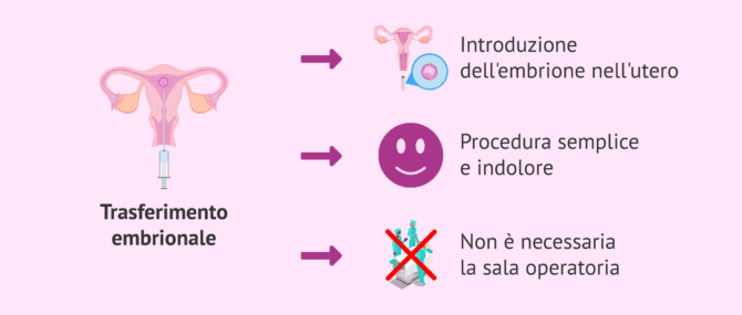 Imagen: Characteristics of embryo transfer