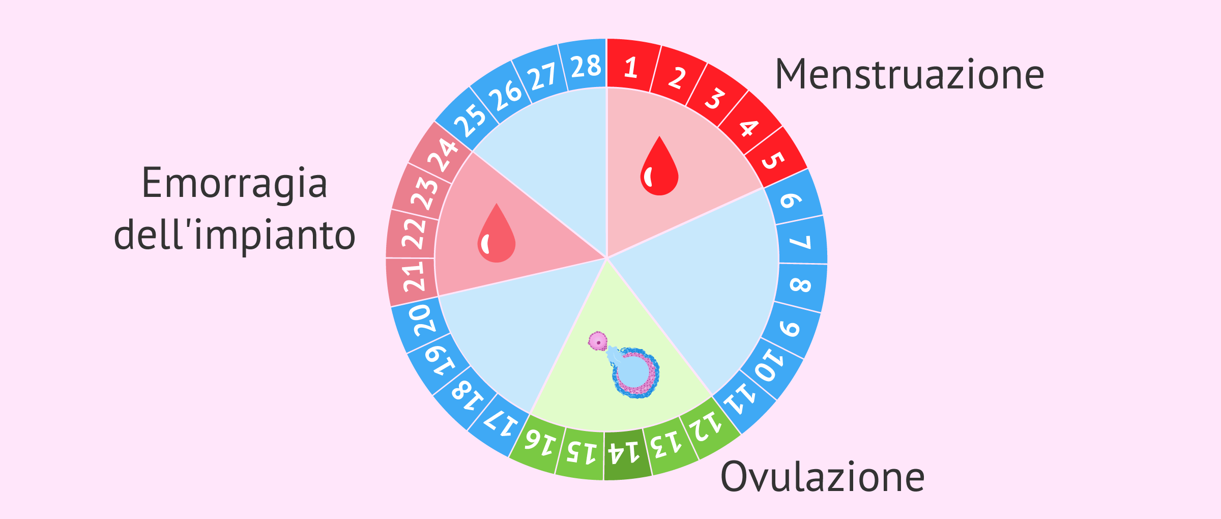 Emorragia dell'impianto nel ciclo mestruale