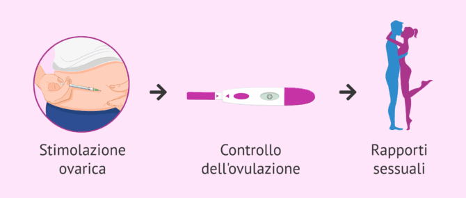 Imagen: Rapporti mirati per ottenere la gravidanza