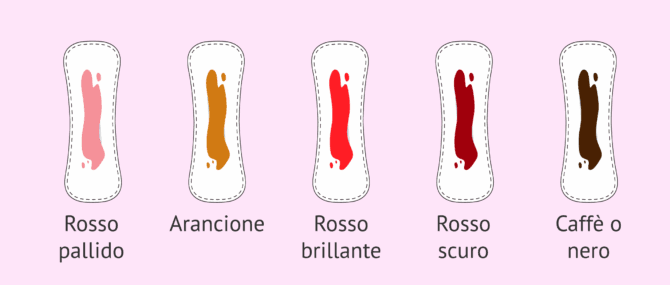 Imagen: Colore del sanguinamento della mestruazione