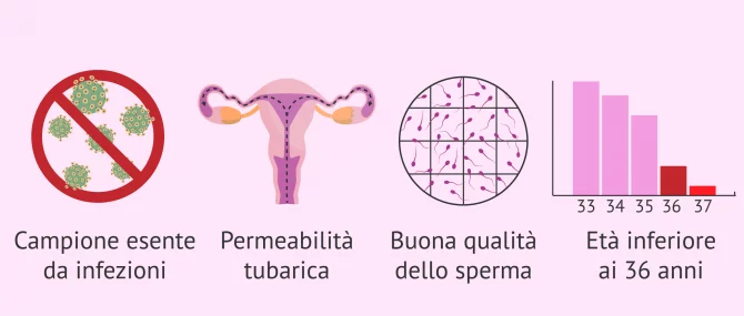 Imagen: Percentuali di successo e risultati dell'IA