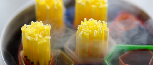 Congelamento del seme di un donatore