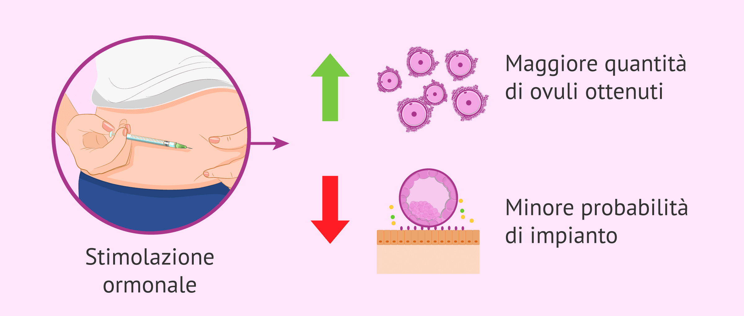 I tassi di impianto delle blastocisti congelate sono migliori?