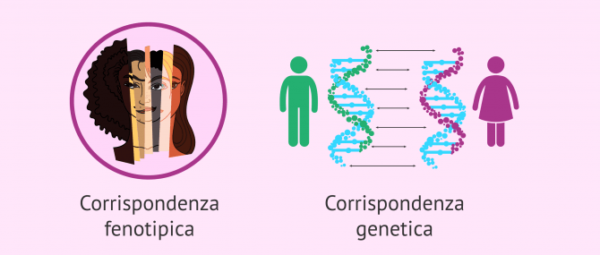 Imagen: Abbinamento fenotipico e genetico dei donatori di gameti