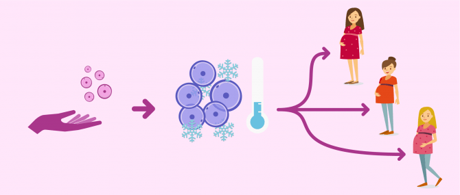 Imagen: Donazione congiunta: un donatore e diversi riceventi