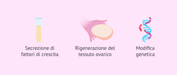Imagen: Progressi nella riproduzione assistita con cellule staminali ed editing genetico