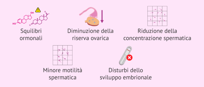 Imagen: Effetti degli interferenti sulla fertilità
