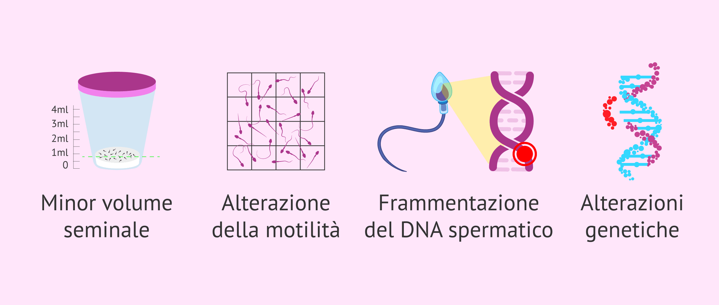 Come influisce l'età dell'uomo sulla fertilità e sulla gravidanza?