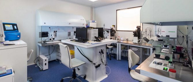 Imagen: Laboratorio di Reproducción Bilbao