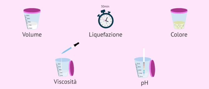 Imagen: Parametri macroscopici del semenogramma
