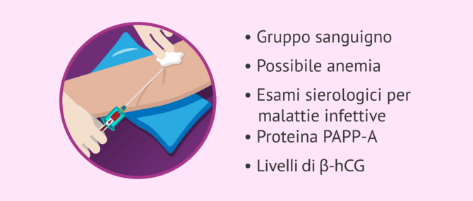 Imagen: Analisi del sangue nella donna in gravidanza