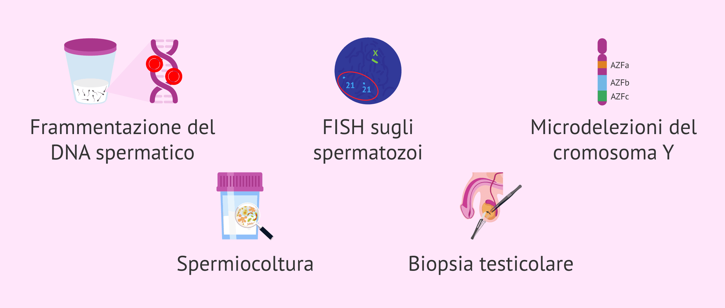 Imagen: Esami aggiuntivi di fertilità maschile