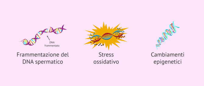 Imagen: Cambiamenti seminali con l'età paterna avanzata