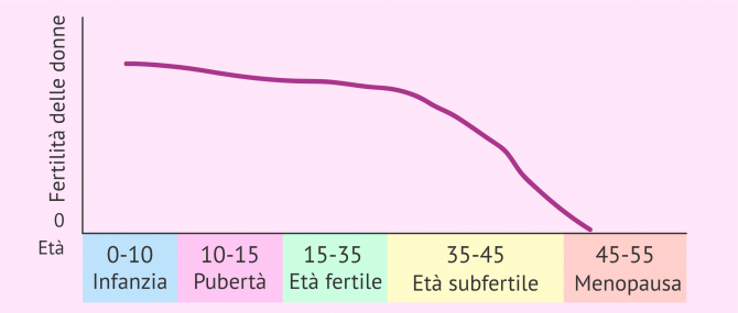 Imagen: Fertilità delle donne