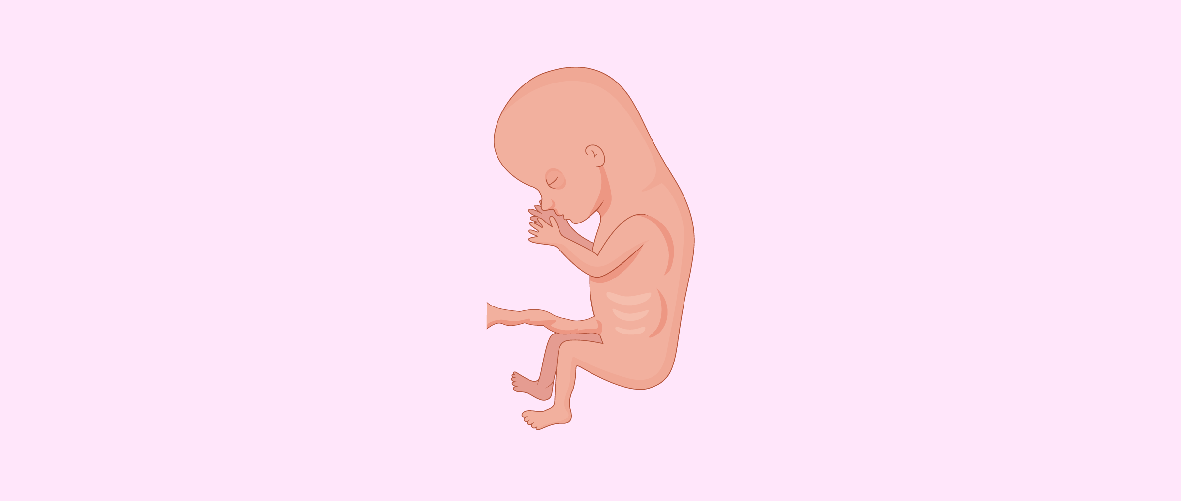 3 mesi di gravidanza