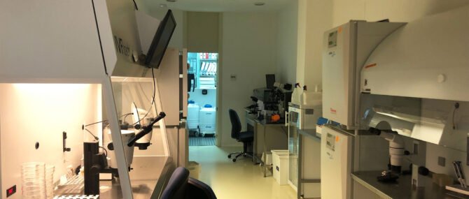 Imagen: Laboratorio FIVET di Next Fertility Murcia