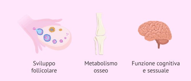 Imagen: Funzioni del testosterone nelle donne