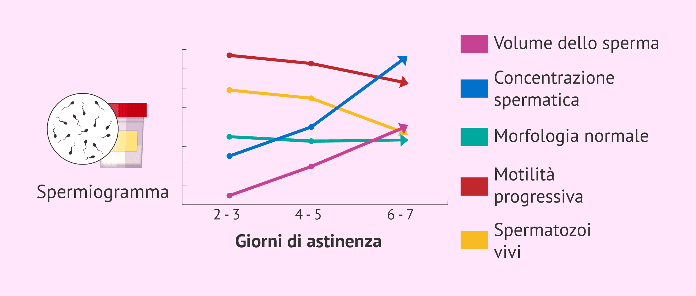 Come influisce l'astinenza sessuale sulla qualità dello sperma?