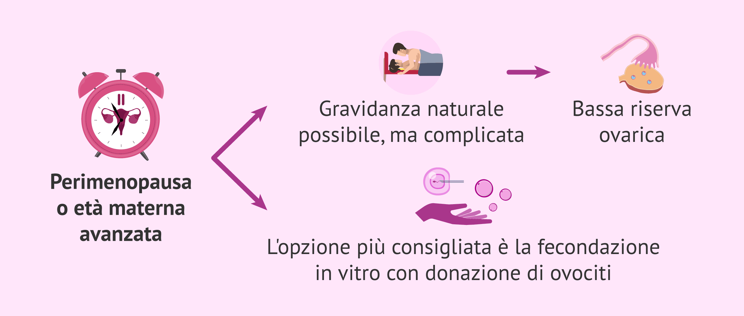 Imagen: Possibilità di gravidanza in perimenopausa