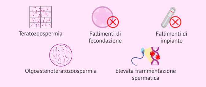 Imagen: Indicazioni dell'IMSI