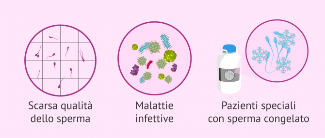 Imagen: indicazioni-per-icsi-maschio