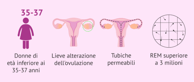 Imagen: Indicazioni per l'IA