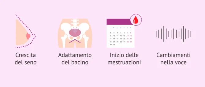 Imagen: Come inizia la fertilità femminile?