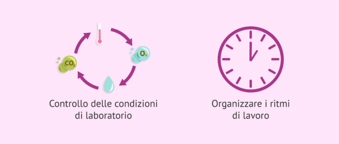 Imagen: Progressi con l'intelligenza artificiale nel laboratorio di FIVET