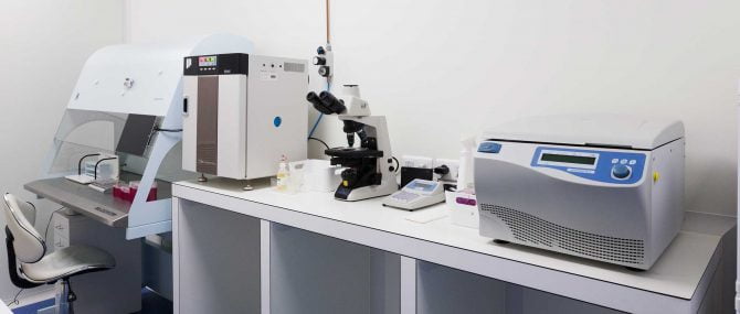 Imagen: Laboratoria di Andrologia Reproduccion Bilbao