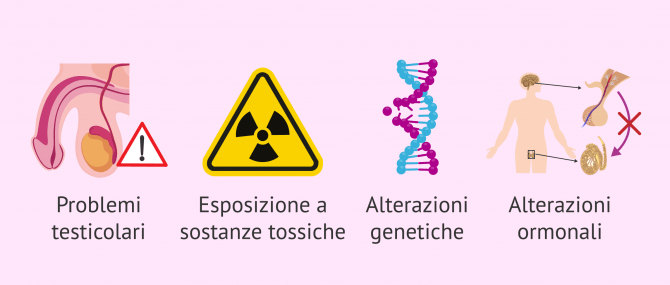 Imagen: Azoospermia e varicocele