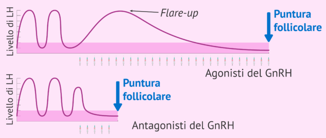 Imagen: Confronto dell'effetto di agonisti e antagonisti