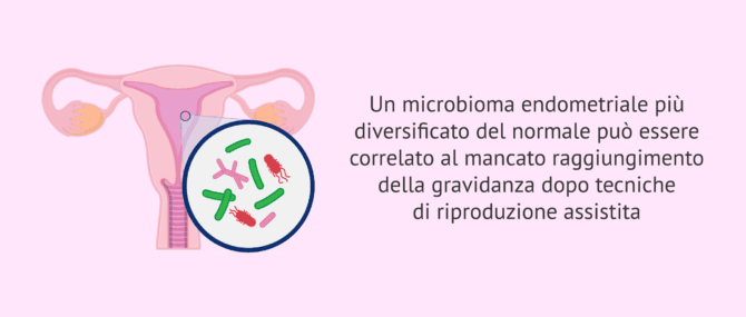 Imagen: Come può il microbioma endometriale influenzare l'impianto embrionale?