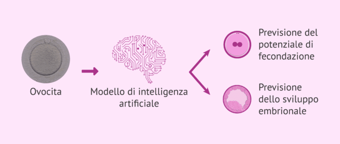 Imagen: Quali informazioni può fornire l'IA per la selezione degli ovuli?