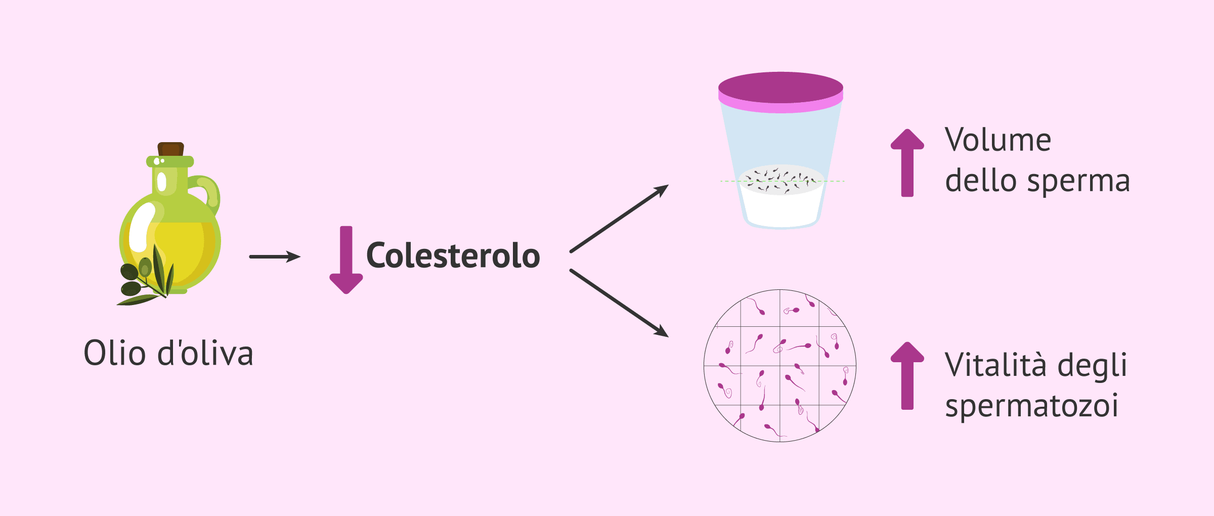 L'olio d'oliva fa bene alla fertilità maschile?