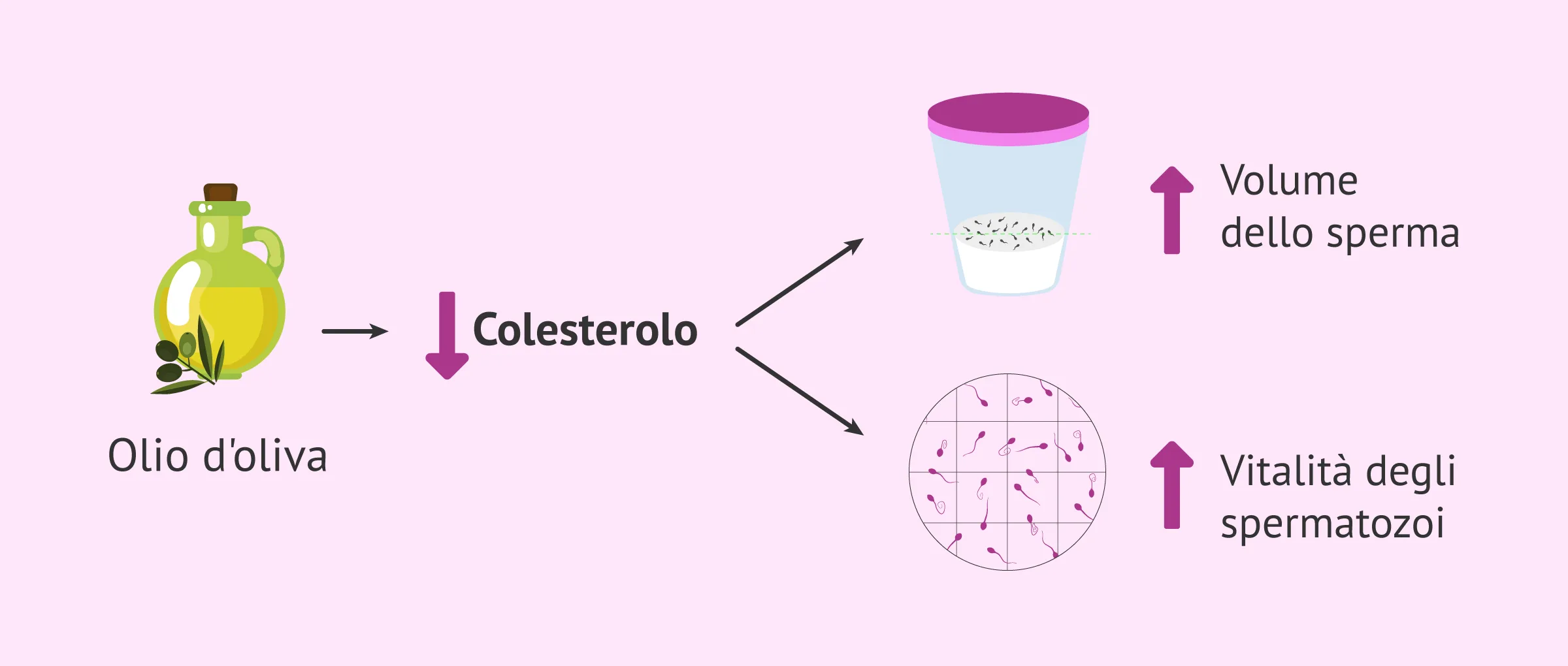 L'olio d'oliva fa bene alla fertilità maschile?