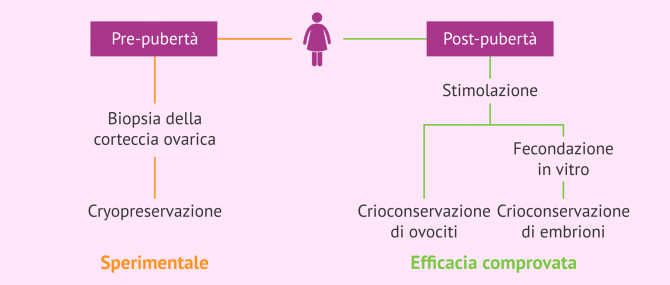 Imagen: Opzioni per preservare la fertilità nei pazienti affetti da cancro