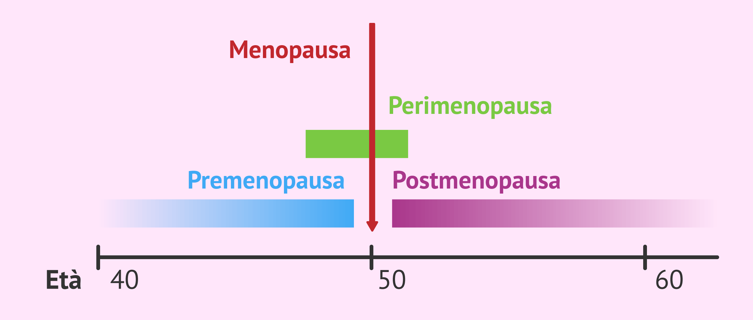 Imagen: Differenza tra premenopausa e perimenopausa