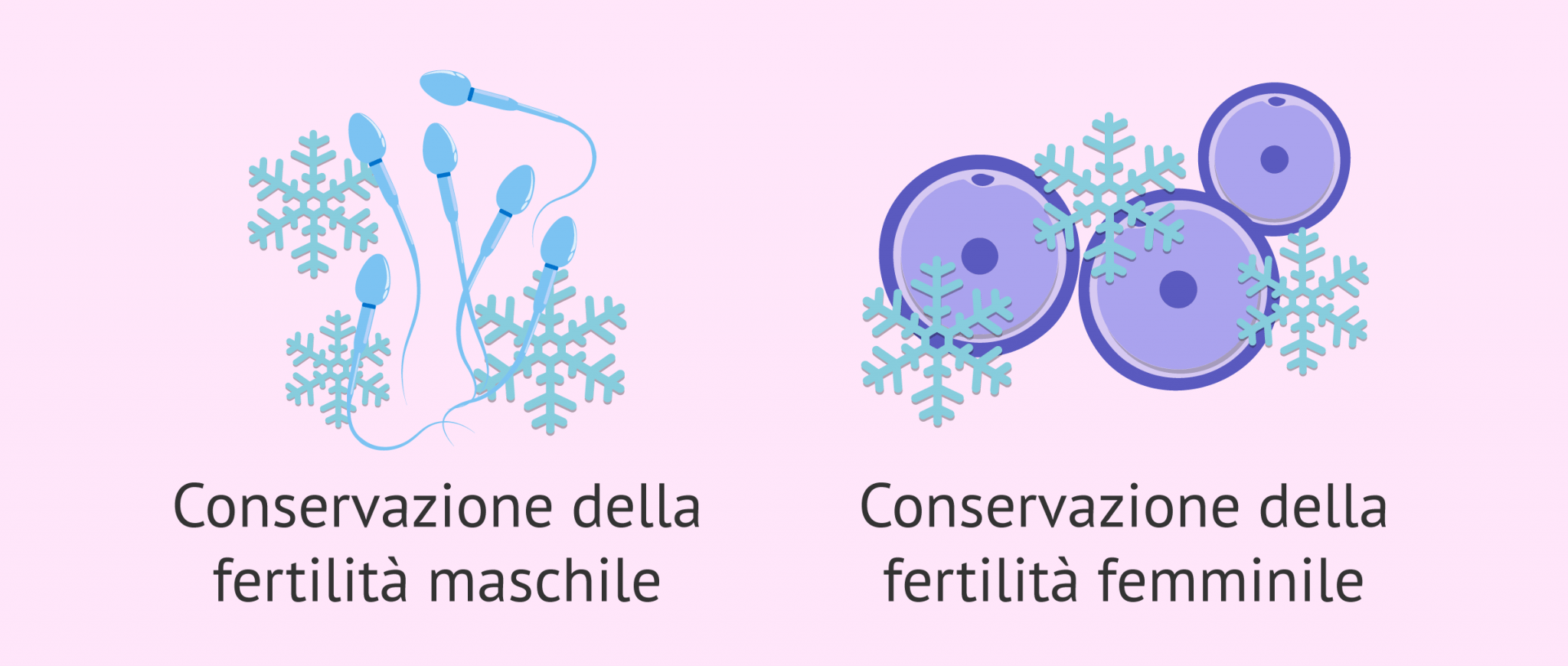 Conservazione della fertilità: congelamento di ovuli e sperma